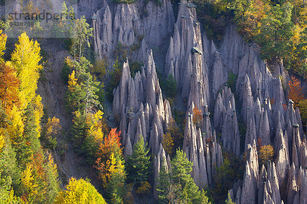 Europa Steilküste Wald Geologie Natur Holz Herbst Trentino Südtirol Erosion Italien Ritten