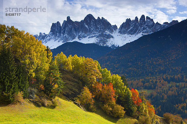 Europa Berg Tal Wald Holz Herbst Trentino Südtirol Italien