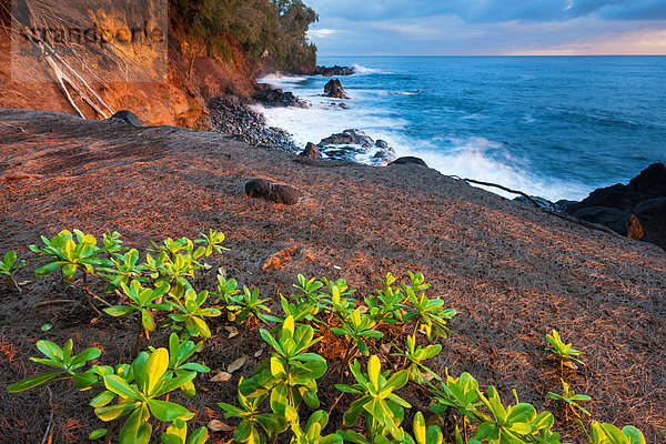 Vereinigte Staaten von Amerika  USA  Hawaii  Big Island  Amerika  Morgen  Beleuchtung  Licht  Küste  Meer  Pazifischer Ozean  Pazifik  Stiller Ozean  Großer Ozean  Hawaii