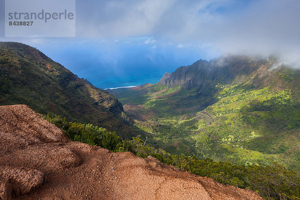 Vereinigte Staaten von Amerika  USA  Amerika  Küste  Meer  Aussichtspunkt  Pazifischer Ozean  Pazifik  Stiller Ozean  Großer Ozean  Hawaii  Kauai