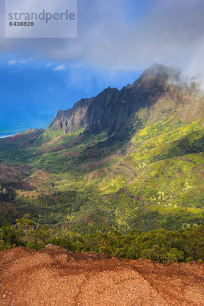 Vereinigte Staaten von Amerika  USA  Amerika  Küste  Meer  Aussichtspunkt  Pazifischer Ozean  Pazifik  Stiller Ozean  Großer Ozean  Hawaii  Kauai