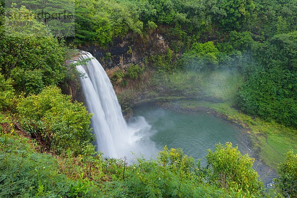Vereinigte Staaten von Amerika  USA  Felsbrocken  Amerika  Wasserfall  Regenwald  Hawaii  Kauai  Wasserkocher