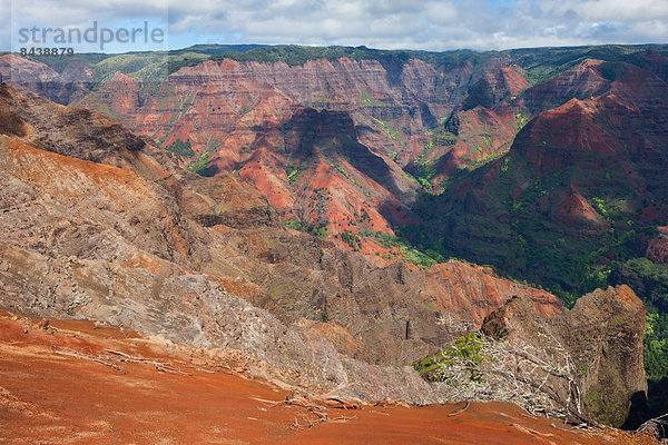 Vereinigte Staaten von Amerika  USA  Felsbrocken  Farbaufnahme  Farbe  Amerika  Steilküste  Aussichtspunkt  Schlucht  Erosion  Hawaii  Kauai  Waimea
