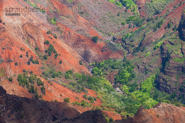 Vereinigte Staaten von Amerika  USA  Felsbrocken  Farbaufnahme  Farbe  Amerika  Steilküste  Aussichtspunkt  Schlucht  Erosion  Hawaii  Kauai  Waimea