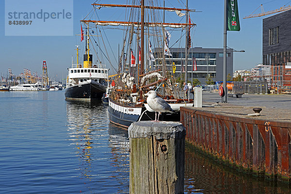 Sehenswürdigkeit  bauen  Wasser  Hafen  Europa  Technologie  Verkehr  Gebäude  Tier  Boot  Architektur  Geschichte  Museum  Schiff  Vogel  Bremen  Bremerhaven  Deutschland  Möwe  Tourismus