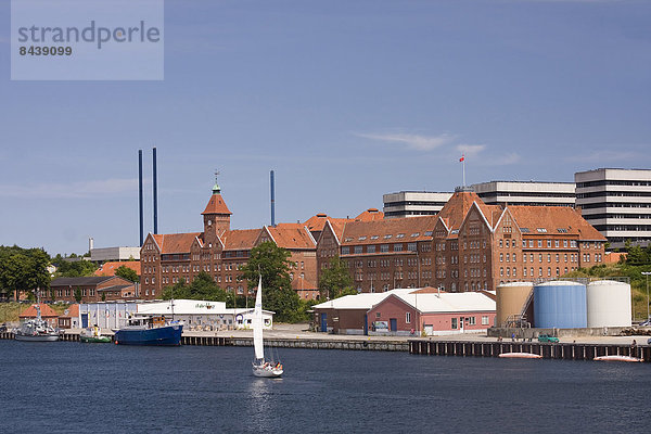 Fischereihafen  Fischerhafen  Hafen  Europa  niemand  Stadt  Großstadt  Boot  Dänemark  dänisch