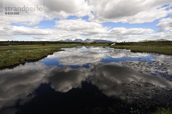 Landschaftlich schön  landschaftlich reizvoll  Europa  Berg  Wolke  Spiegelung  See  Norwegen  Hedmark  Reflections