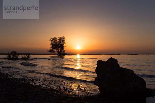 Wasser  Sonnenuntergang  Baum  Landschaft  Bodensee  Österreich  Sonne  Vorarlberg