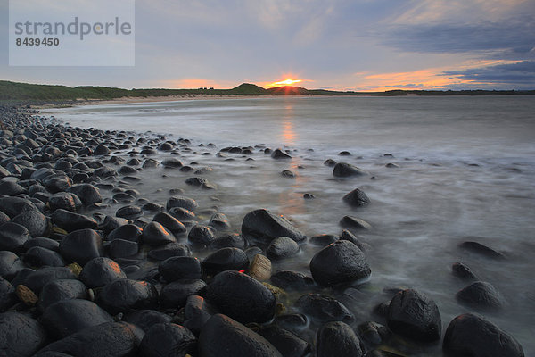Felsbrocken  Wasser  Europa  Stein  Strand  Abend  Sonnenuntergang  Großbritannien  Steilküste  Küste  Meer  England  Northumberland