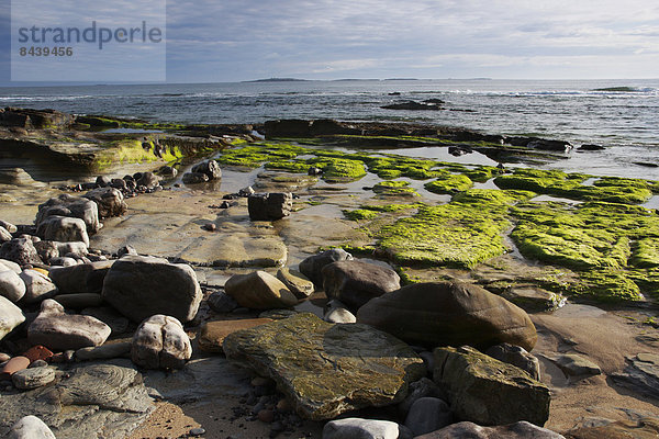 Felsbrocken  Wasser  Europa  Stein  Strand  Sommer  Morgen  Großbritannien  Steilküste  Küste  Wasserwelle  Welle  Sonnenaufgang  Brandung  Meer  England  Northumberland