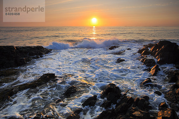 Felsbrocken  Wasser  Europa  Stein  Strand  Sommer  Morgen  Großbritannien  Steilküste  Küste  Wasserwelle  Welle  Sonnenaufgang  Brandung  Meer  England  Northumberland