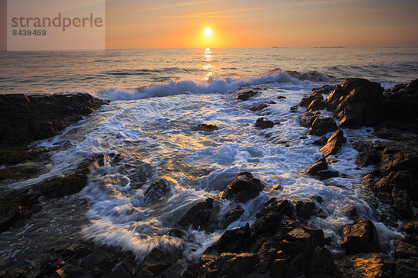 Felsbrocken  Wasser  Europa  Stein  Strand  Sommer  Morgen  Großbritannien  Steilküste  Küste  Wasserwelle  Welle  Sonnenaufgang  Brandung  Meer  England  Northumberland