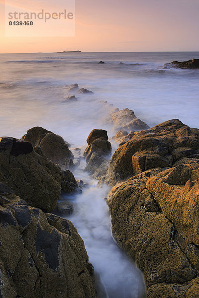 Felsbrocken  Wasser  Europa  Stein  Strand  Sommer  Morgen  Großbritannien  Steilküste  Küste  Wasserwelle  Welle  Sonnenaufgang  Brandung  Meer  Ansicht  England  Northumberland