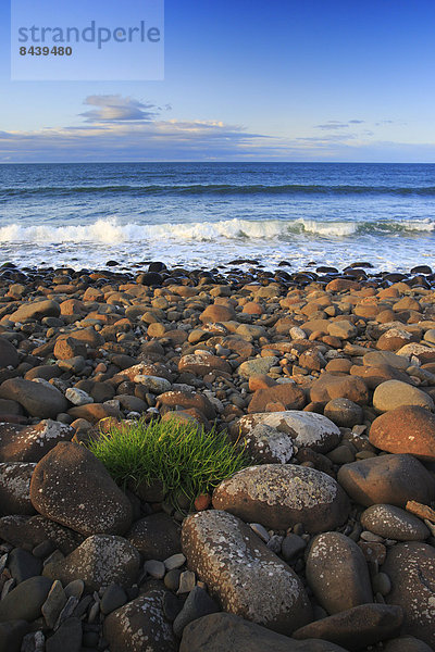 Felsbrocken  Wasser  Europa  Stein  Botanik  Strand  Großbritannien  Steilküste  Küste  Wasserwelle  Welle  Meer  Pflanze  England  Northumberland  rund