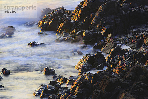 Detail  Details  Ausschnitt  Ausschnitte  Felsbrocken  Wasser  Europa  Stein  Strand  Sommer  Großbritannien  Steilküste  Küste  Wasserwelle  Welle  Brandung  Meer  England  Northumberland