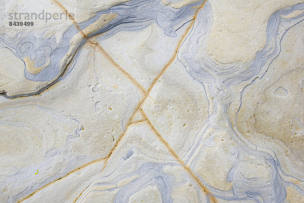 Detail  Details  Ausschnitt  Ausschnitte  Felsbrocken  Muster  Europa  Stein  Großbritannien  Steilküste  Küste  Abstraktion  Hintergrund  England  Northumberland  Schnittmuster