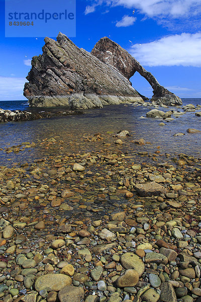 Panorama  Landschaftlich schön  landschaftlich reizvoll  Wasser  Europa  Stein  Sommer  Großbritannien  Steilküste  Küste  Meer  Natur  Kurve  Brücke  blau  Moray  Schottland  schottisch