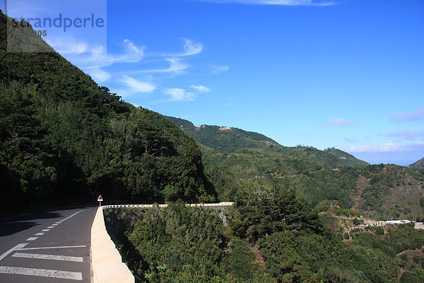 Laubwald  Landschaftlich schön  landschaftlich reizvoll  Europa  Berg  Landschaft  Straße  Wald  Kanaren  Kanarische Inseln  Spanien  Teneriffa