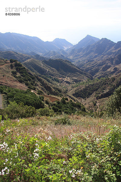 Landschaftlich schön  landschaftlich reizvoll  Europa  Berg  Landschaft  Kanaren  Kanarische Inseln  Spanien  Teneriffa