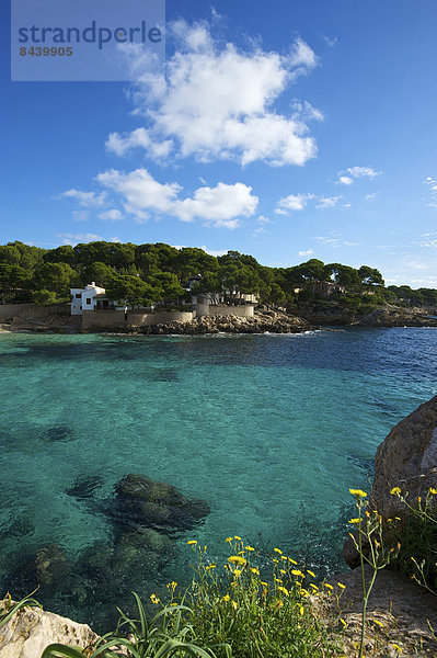 Außenaufnahme Landschaftlich schön landschaftlich reizvoll Europa Landschaft Küste niemand Meer Balearen Balearische Inseln Bucht Cala Ratjada Mallorca Mittelmeer Spanien