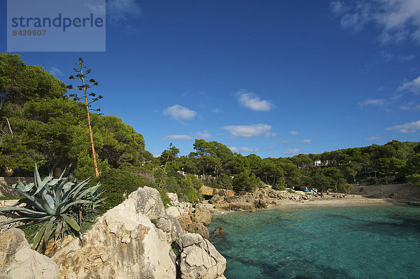 Außenaufnahme Landschaftlich schön landschaftlich reizvoll Europa Strand Landschaft Küste niemand Meer Balearen Balearische Inseln Bucht Cala Ratjada Mallorca Mittelmeer Spanien