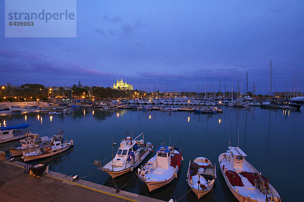 Außenaufnahme  Baustelle  Hafen  Europa  Gebäude  niemand  Boot  Architektur  Kirche  Religion  Christentum  Motorboot  Balearen  Balearische Inseln  Christ  La Seu  Mallorca  Spanien