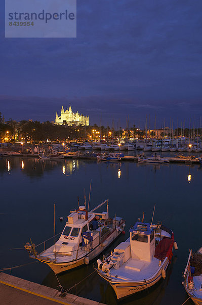 Außenaufnahme  Baustelle  Hafen  Europa  Gebäude  niemand  Boot  Architektur  Kirche  Religion  Christentum  Motorboot  Balearen  Balearische Inseln  Christ  La Seu  Mallorca  Spanien