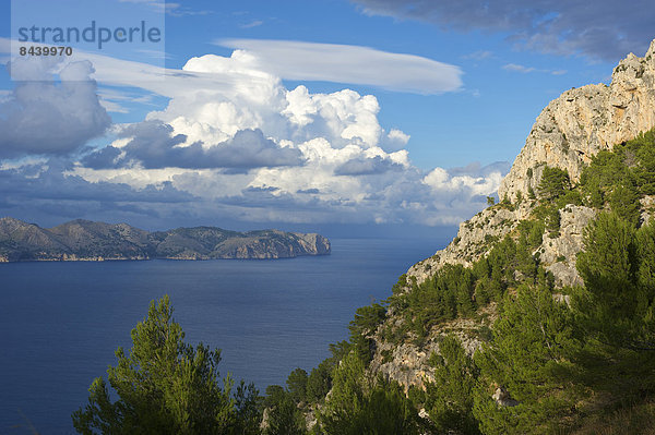 Außenaufnahme Landschaftlich schön landschaftlich reizvoll Europa Landschaft Küste niemand Meer Natur Balearen Balearische Inseln Mallorca Mittelmeer Spanien