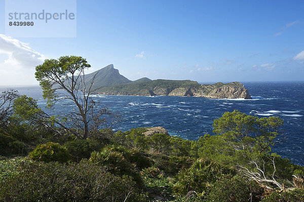 Außenaufnahme Landschaftlich schön landschaftlich reizvoll Europa Landschaft Küste niemand Meer Natur Insel Balearen Balearische Inseln Mallorca Mittelmeer Sa Dragonera Spanien