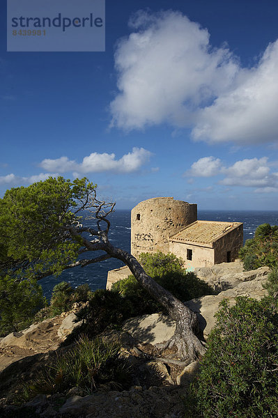 Außenaufnahme  Europa  niemand  Balearen  Balearische Inseln  Mallorca  Spanien