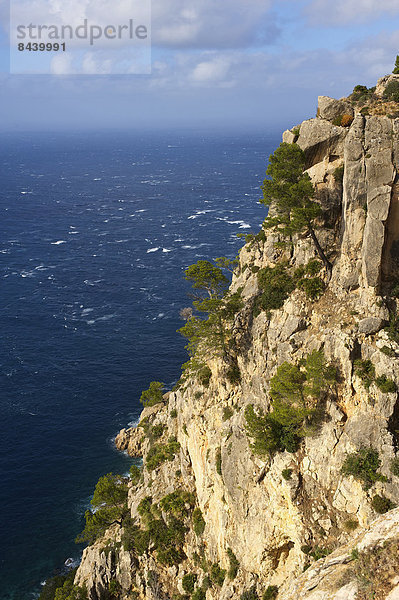 Außenaufnahme Landschaftlich schön landschaftlich reizvoll Europa Landschaft Küste niemand Meer Natur Balearen Balearische Inseln Mallorca Mittelmeer Spanien