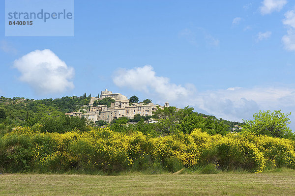 Außenaufnahme  Landschaftlich schön  landschaftlich reizvoll  Frankreich  Europa  Tag  Landschaft  niemand  Dorf  Provence - Alpes-Cote d Azur