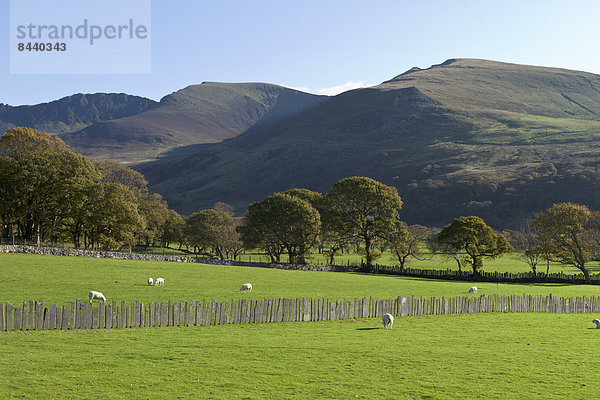 Snowdonia Nationalpark  Wales