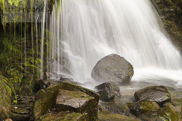 Wasserfall  England  Swaledale