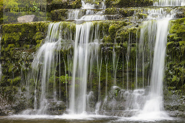 Wasserfall  England  Wensleydale