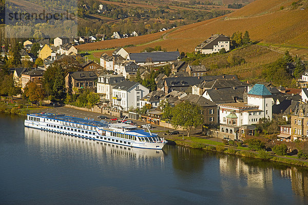 Außenaufnahme bauen Europa Wohnhaus Wein Gebäude Architektur Festung Herbst Deutschland Moseltal Rheinland-Pfalz Traben-Trarbach