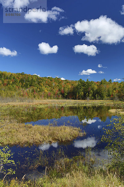 Vereinigte Staaten von Amerika  USA  Farbaufnahme  Farbe  Amerika  Wolke  Landschaft  Reise  Spiegelung  See  bunt  Herbst  Sonnenlicht  Maine