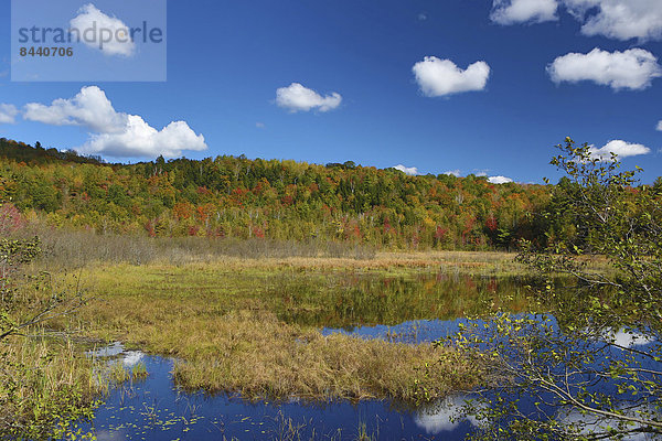 Vereinigte Staaten von Amerika  USA  Farbaufnahme  Farbe  Amerika  Wolke  Landschaft  Reise  Spiegelung  See  bunt  Herbst  Sonnenlicht  Maine