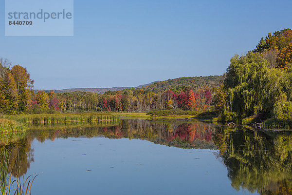 Vereinigte Staaten von Amerika USA Amerika Ruhe Reise Spiegelung See bunt Natur Holz Herbst rot Tourismus Berkshire Ortsteil Massachusetts