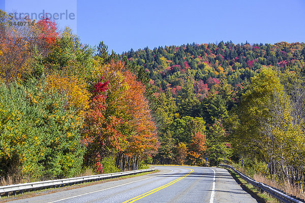 Vereinigte Staaten von Amerika USA Amerika Reise bunt Natur Holz Herbst Bundesstraße rot Neuengland Tourismus Berkshire Massachusetts