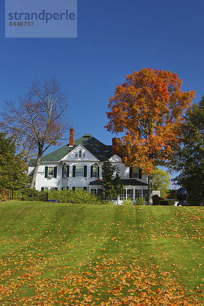Vereinigte Staaten von Amerika USA Amerika Wohnhaus Baum Landschaft Architektur Herbst rot Teppichboden Teppich Teppiche Massachusetts