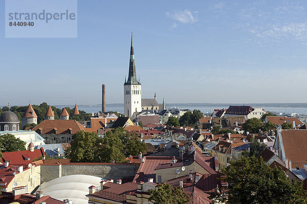 Tallinn Hauptstadt Europa Großstadt Ansicht Altstadt Draufsicht Ostsee Baltisches Meer Estland
