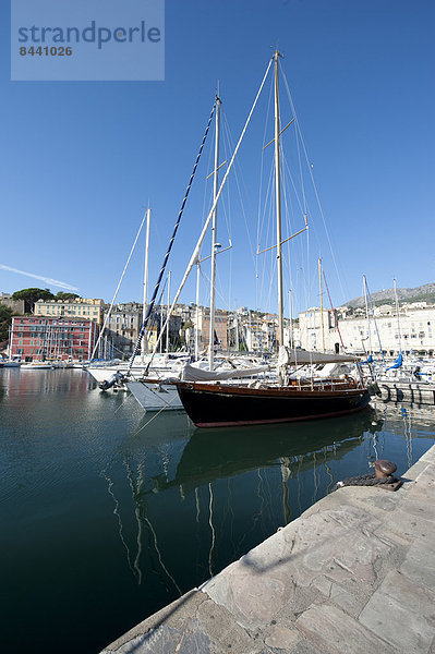 Hafen  Motorjacht  Frankreich  Europa  Boot  Bastia  Korsika  Tourismus