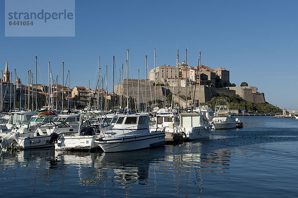 Hafen  Motorjacht  Frankreich  Europa  Boot  Altstadt  Festung  Calvi  Korsika