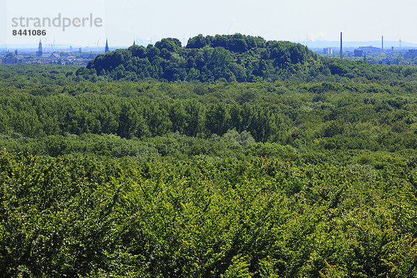 Panorama Skyline Skylines Wald Holz Ansicht Deutschland Krefeld Nordrhein-Westfalen Observation Tower Rheinland Nordrhein-Westfalen