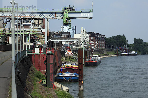 Kranich  Wasserrand  Fabrikgebäude  Lastkahn  Turmkran  Deutschland  Krefeld  Nordrhein-Westfalen  Rheinland