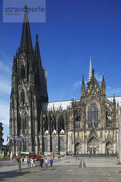 Kuppel  Kathedrale  Kirchturm  Gotik  UNESCO-Welterbe  Petersdom  katholisch  Köln  Kuppelgewölbe  Deutschland  Nordrhein-Westfalen  Platz  Rheinland