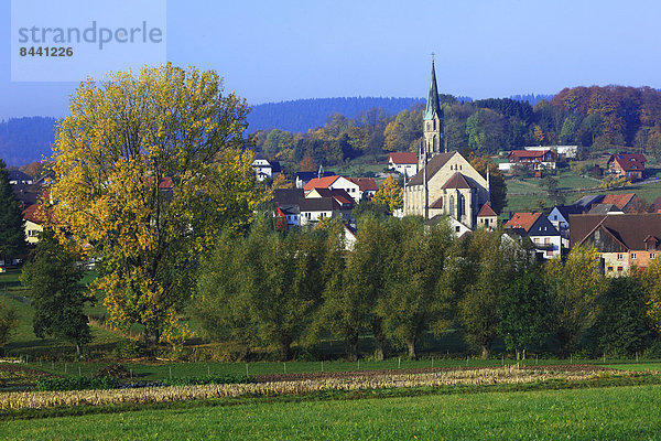 Naturschutzgebiet  Landschaftlich schön  landschaftlich reizvoll  Kirche  Herbst  Hügel  Deutschland  Nordrhein-Westfalen  Pfarrkirche  Steinheim  Westfalen