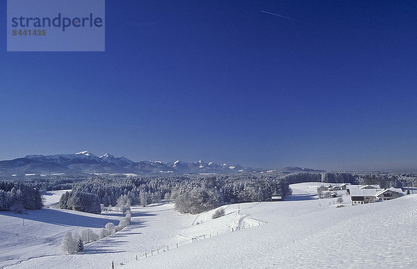 Spur  Kälte  blauer Himmel  wolkenloser Himmel  wolkenlos  Landschaftlich schön  landschaftlich reizvoll  Baum  Landschaft  Eis  Bayern  Chiemgau  Deutschland  Stimmung  Schnee  Oberbayern
