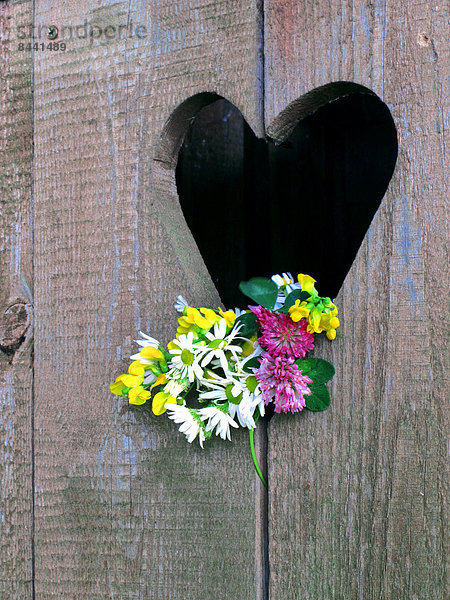 Blumenstrauß Strauß Liebe Wand Blume Konzept Symbol Holz blühen arrangieren Regal Holzbrett Brett herzförmig Herz